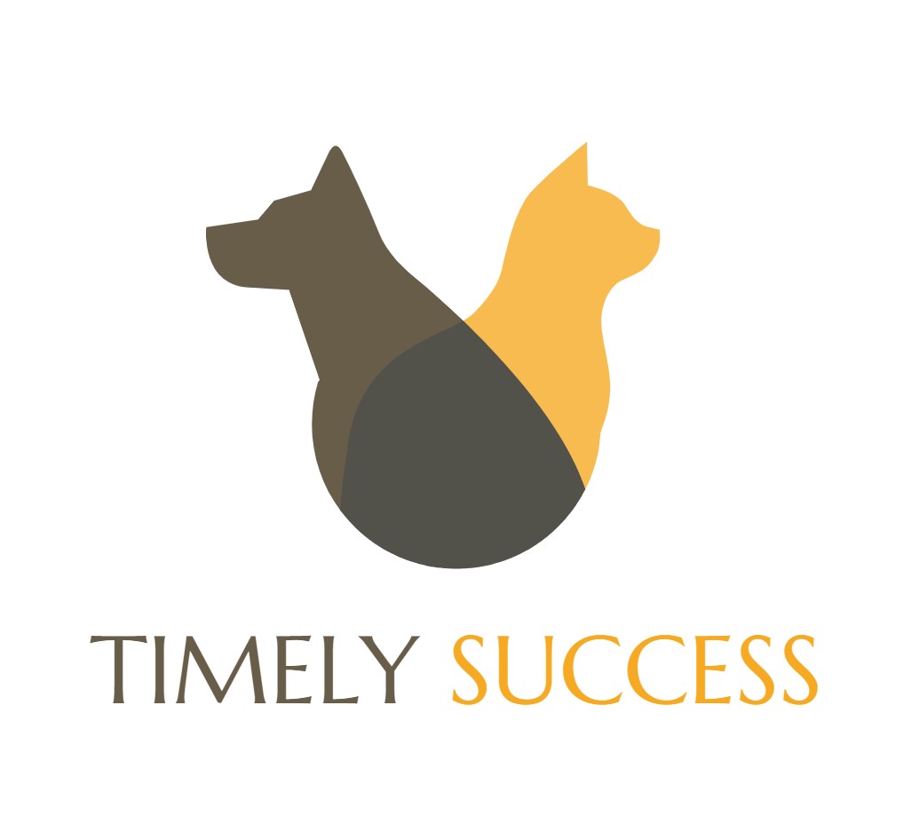 TIMELY SUCCESS GROUP LIMITED